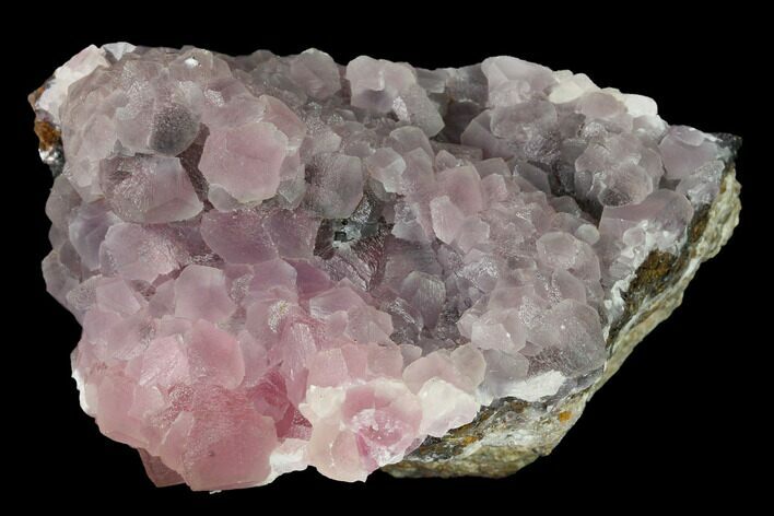 Cobaltoan Calcite Crystal Cluster - Bou Azzer, Morocco #161166